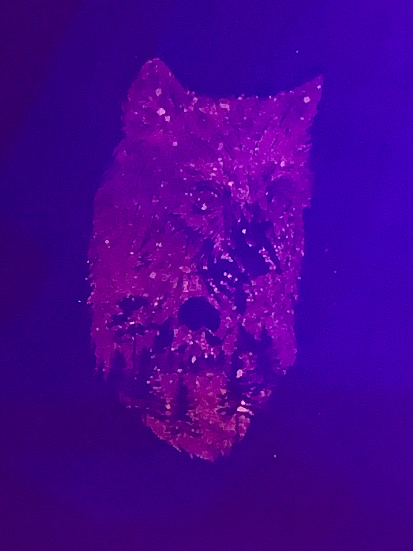 PLUM COLOR (A. Quality Apparel) T-shirt %Cotton Size X-LARGE (HandMade) With Wolf & Bamboo Back.