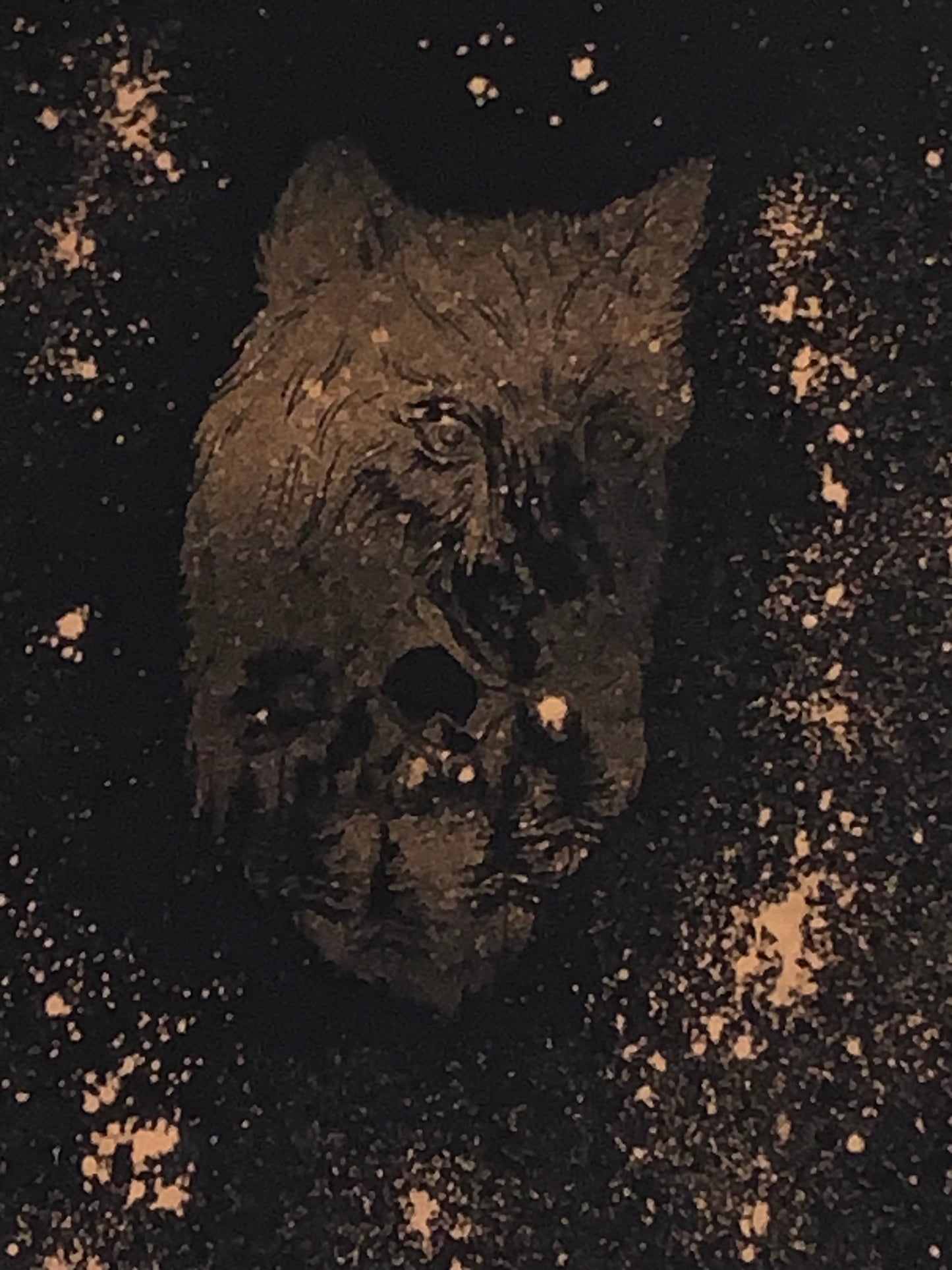 Black & Gold -A. Quality Apparel T-Shirt (%100 Cotton) Size: X-LARGE