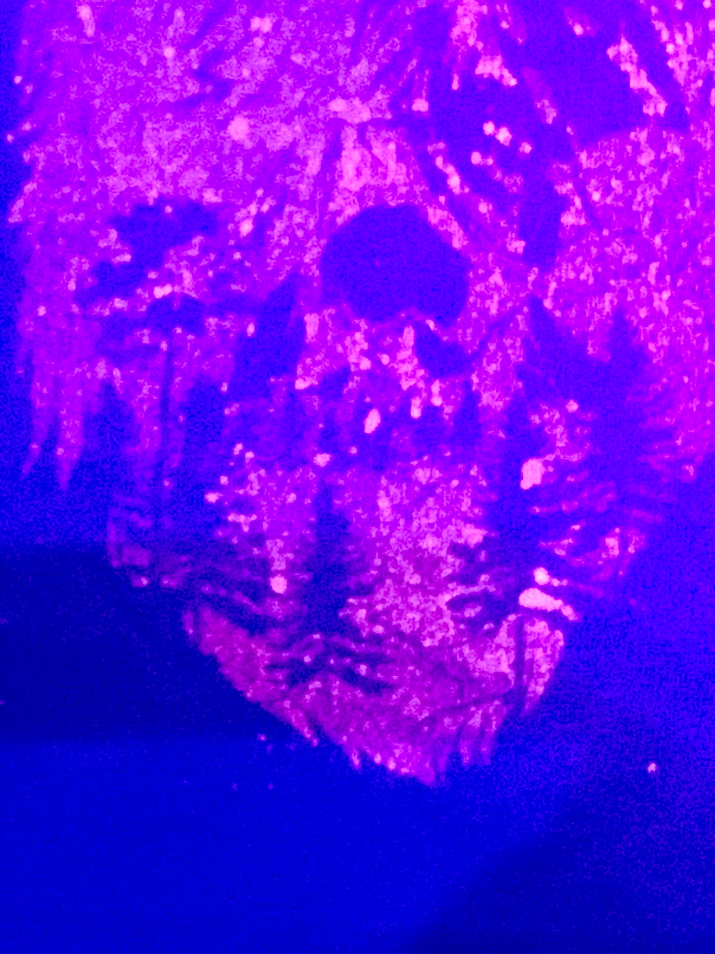 PLUM COLOR (A. Quality Apparel) T-shirt %Cotton Size X-LARGE (HandMade) With Wolf & Bamboo Back.