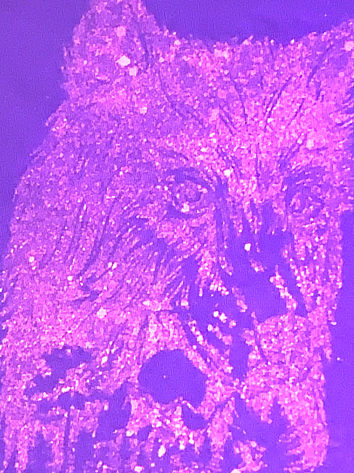 PLUM COLOR (A. Quality Apparel) T-shirt %Cotton Size X-LARGE (HandMade) With Wolf & Bamboo Back.