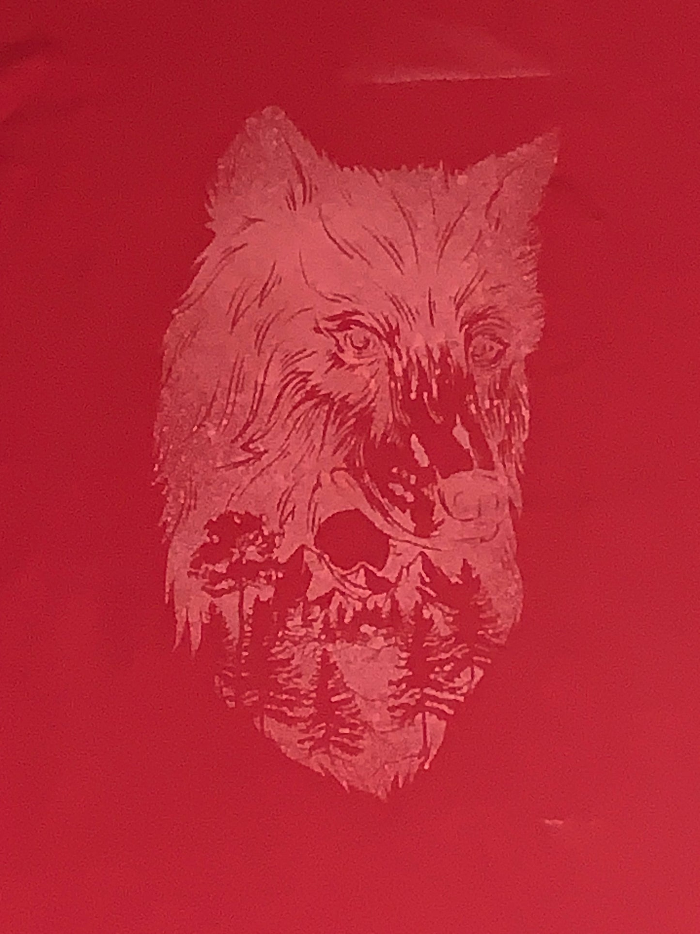 Red- A.Quality Apparel T-Shirt (%100 Cotton) Gold Wolf Design Size: Large