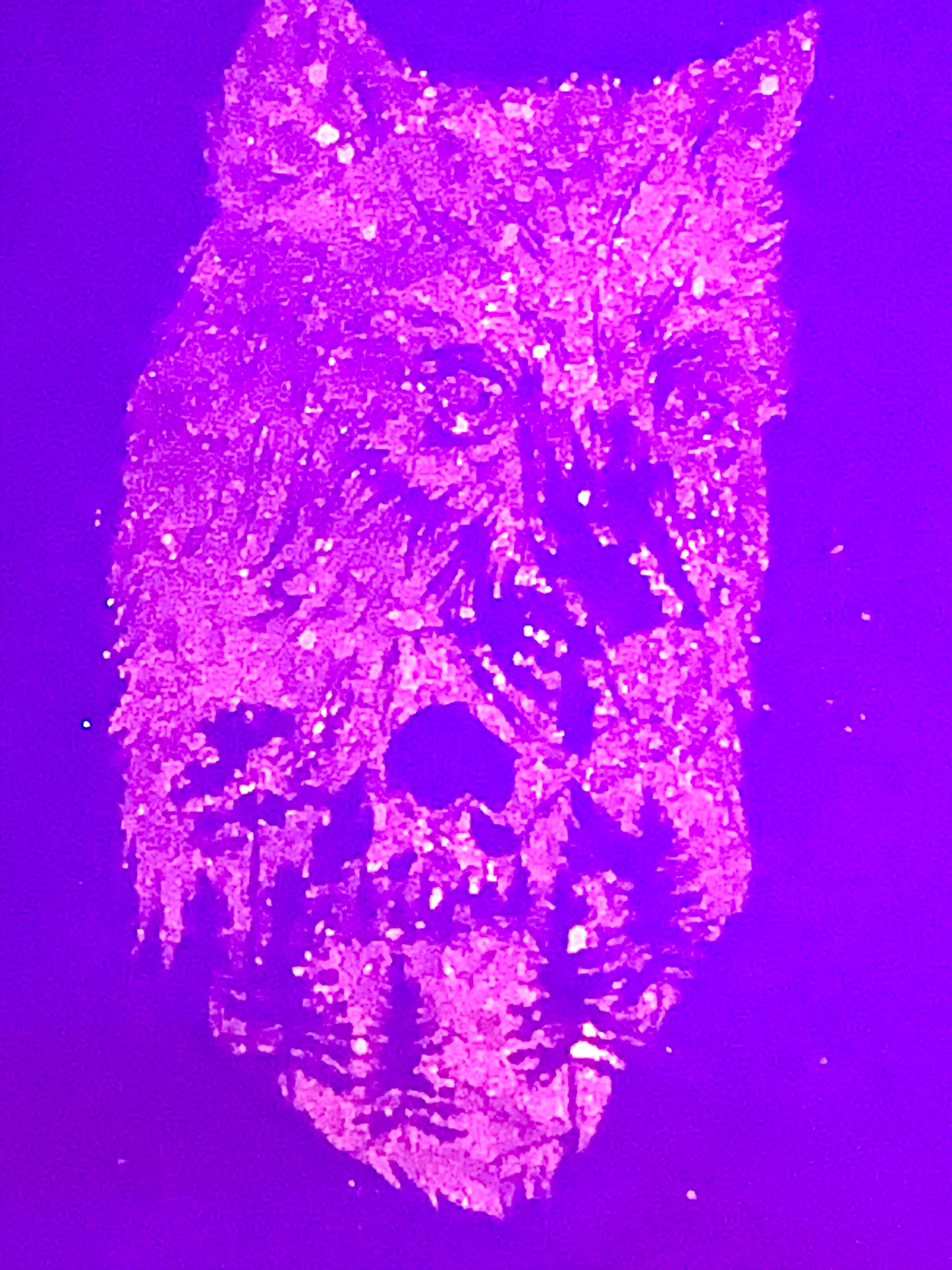 PLUM COLOR (A. Quality Apparel) T-shirt %Cotton Size X-LARGE (HandMade) With Wolf & Bamboo Back.