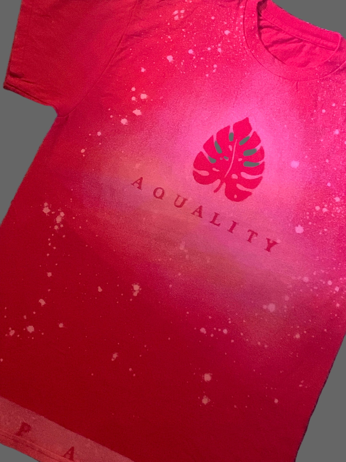 Red A.quality Apparel T-Shirt 100% Cotton / Medium-Large (Adult/Teen)